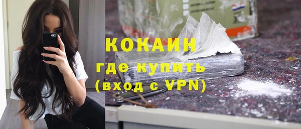 мдпв Краснослободск