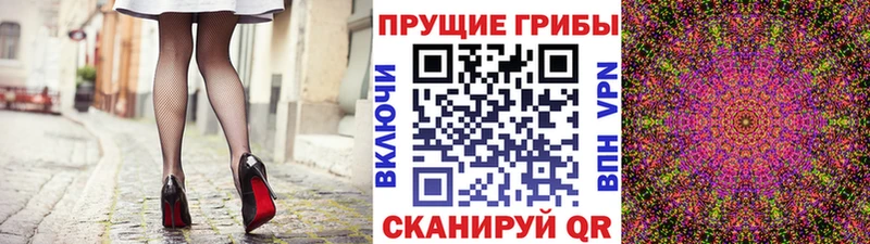 Галлюциногенные грибы Psilocybe  Купить закладки  Смоленск 